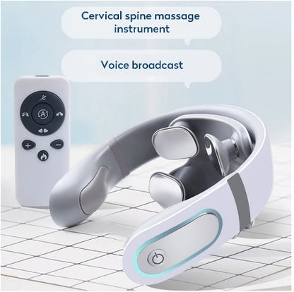 voice broadcast